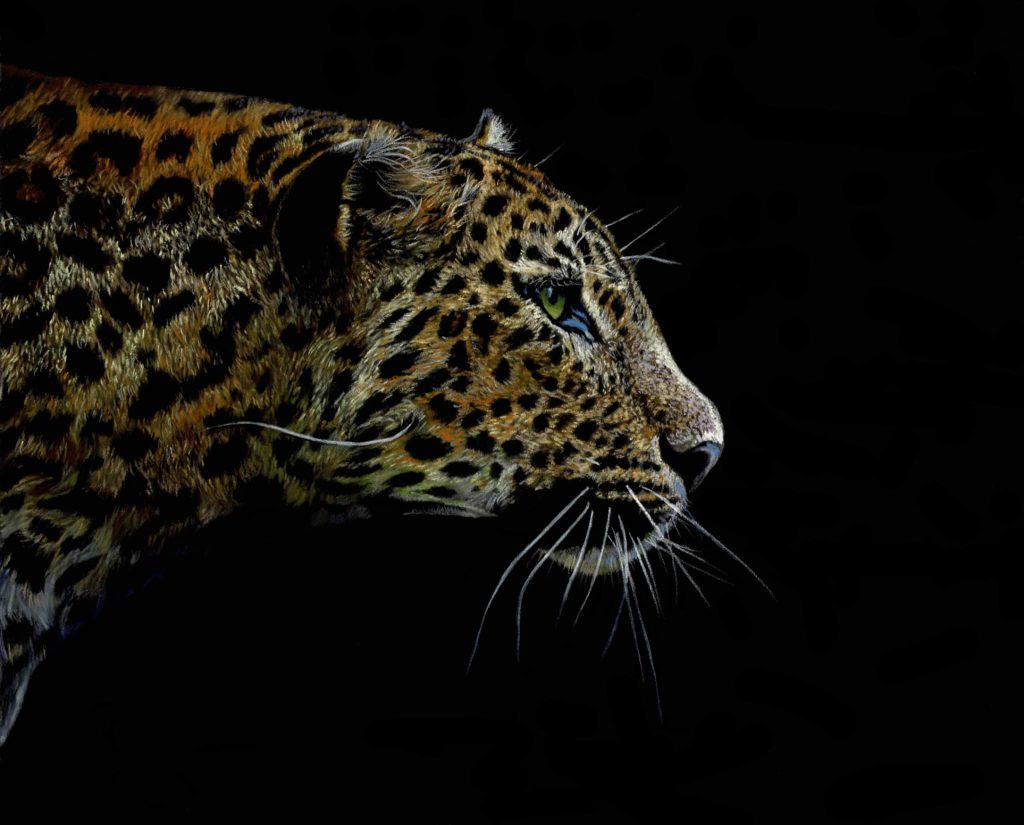 Teresa Seals Art - Leopard on black