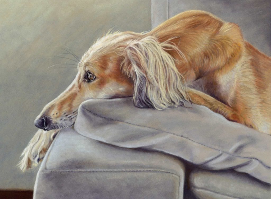 Teresa Seals Art - Saluki on sofa