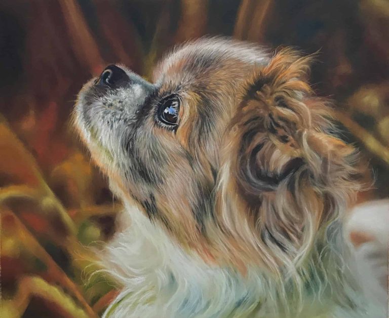 Teresa Seals Art - Tibetan Spaniel