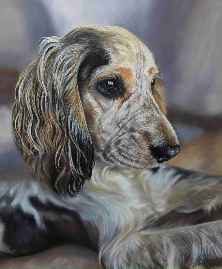 Teresa Seals Art - Albie
