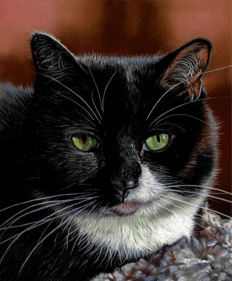 Teresa Seals Art - Arnie