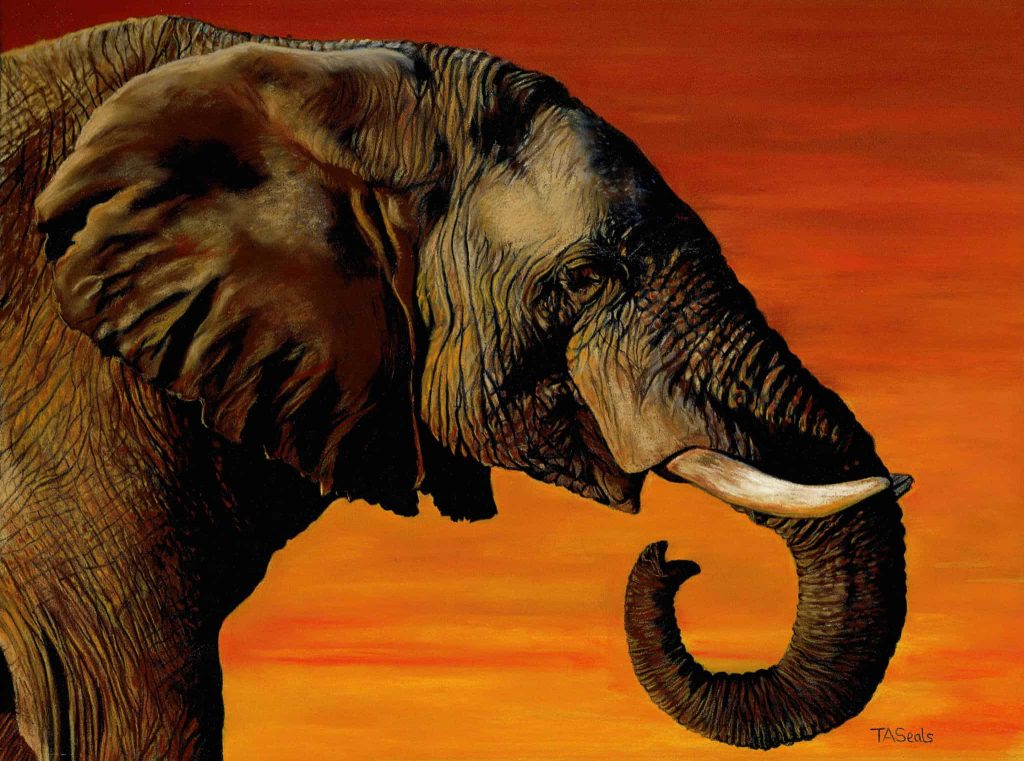 African elephant against a sunset sky in soft pastel by Teresa Seals Art