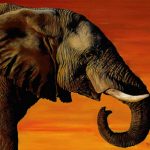 African elephant against a sunset sky in soft pastel by Teresa Seals Art
