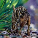 Suffolk Hare on path in dappled light in soft pastel by Teresa Seals Art