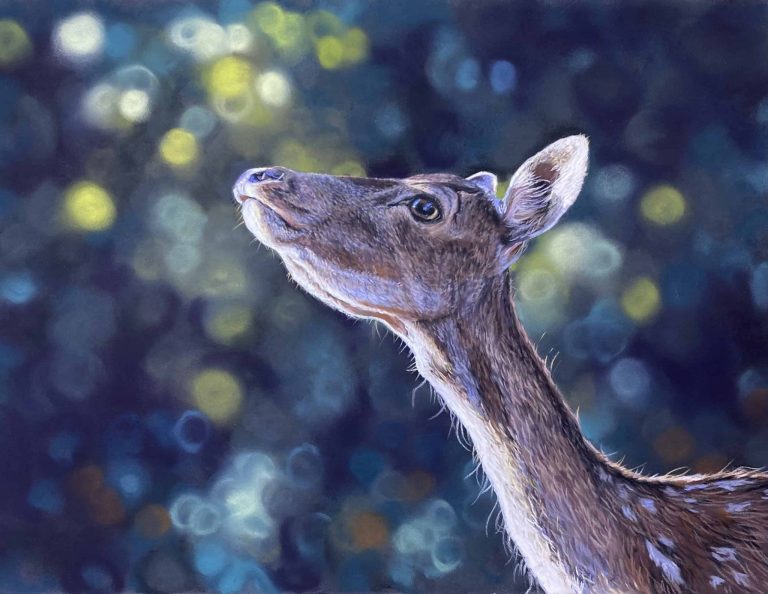 Deer in soft pastel looking up into the light of a forest